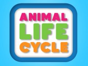 Animal Life Cycle