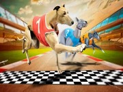 Crazy Dog Racing Game 2020