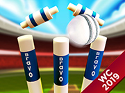 Play Cricket World Cup Game 2019 Mini Ground Cricke