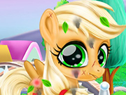 Play Cute Pony Care