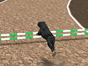 Play Dog Racing Simulator