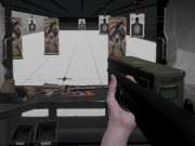 Play Firearm Simulator