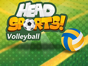 Play Head Sports Volleyball