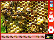 Honeycomb - Hidden Bees