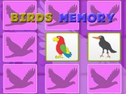 Kids Memory with Birds