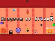 Kingdom of Ninja 5