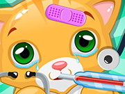 Play Little Cat Doctor Pet Vet Game