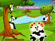 Panda Kissing