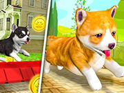 Play Pet Run Adventure Puppy Run