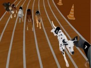 Play Real Dog Racing Simulator Game 2020