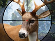 Play Sniper Stag Hunter