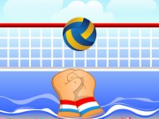 Volley ball