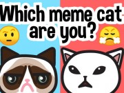 Play Which meme cat are you?