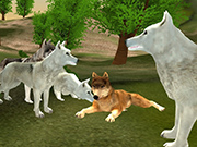 Play Wild Wolves Hunger Attack